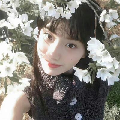 他和她的秘密封面